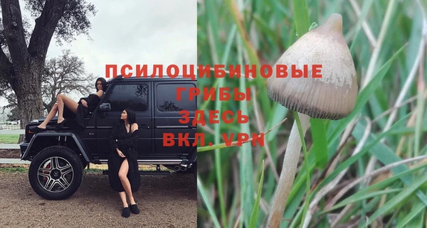 MESCALINE Богородицк