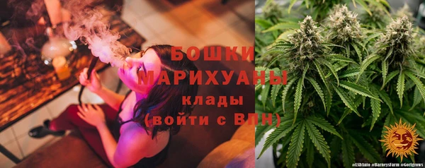 гашиш Богданович
