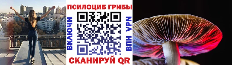 Галлюциногенные грибы Magic Shrooms Бугульма